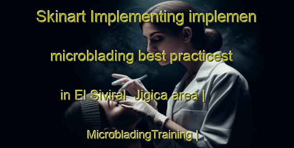 Skinart Implementing implemen microblading best practicest in El Siviral  Jigica area | MicrobladingTraining | MicrobladingClasses | SkinartTraining-Mexico
